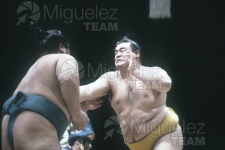 Gira Europea de Gran Sumo. Torneo de Madrid 1992.