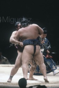 Gira Europea de Gran Sumo. Torneo de Madrid 1992.