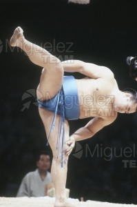 Gira Europea de Gran Sumo. Torneo de Madrid 1992.