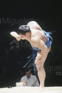 Gira Europea de Gran Sumo. Torneo de Madrid 1992.