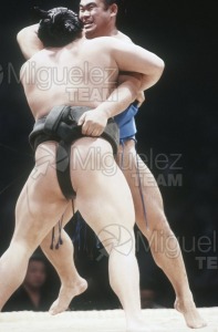 Gira Europea de Gran Sumo. Torneo de Madrid 1992.