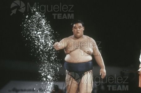 Gira Europea de Gran Sumo. Torneo de Madrid 1992.