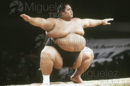 Gira Europea de Gran Sumo. Torneo de Madrid 1992.