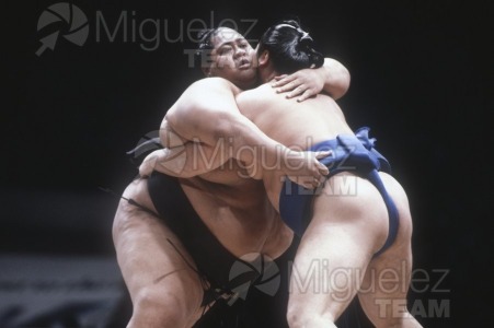 Gira Europea de Gran Sumo. Torneo de Madrid 1992.